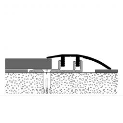 PARKETTFREUND Anpassprofil PF 576 V Alu eloxiert Sand Schraub- und Clicksystem Übergangsschiene verschiedene Varianten, bis 1,8m, Höhenausgleich 4-7,5mm