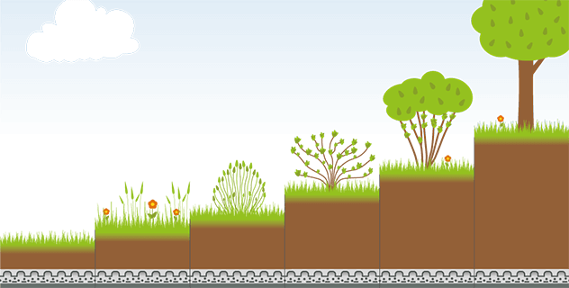 Aufbau Dachbegrünung