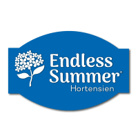 Endless Summer