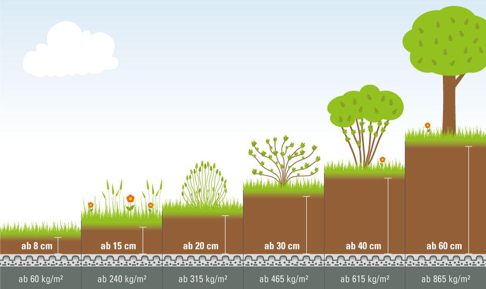 Aufbau Dachbegrünung