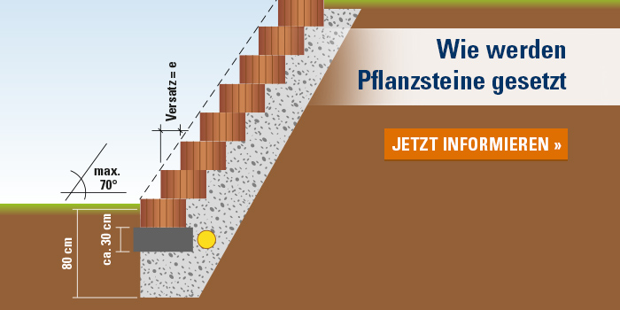 Pflanzsteine setzen